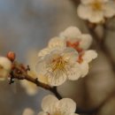 양지공원 이미지