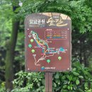 8월 18일 송도 암남공원 치유의 숲길 걷기 이미지