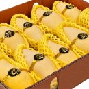 다인농장 이미지