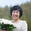 수정노인복지센터 이미지