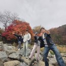 이너피스 | 공주 마곡사 템플스테이 후기 • • • 가을 단풍 구경 | 이너피스