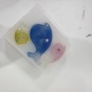 콩단