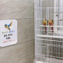 앵무새다방