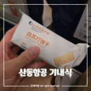중국 칭다오여행 산동항공 기내식 후기 수화물 체크인