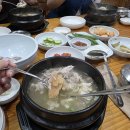 풀향기 | 포항 삼계탕 맛집 ‘풀향기’ 방문 후기) 초복맞이 몸보신 하고 왔어요!