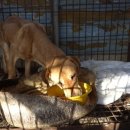 손의개농장 이미지