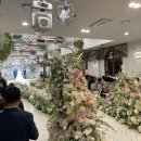 비타투어 | 서울 강남 웨딩홀 밝은홀 아르베 홀투어 뷔페 방문후기 (구.벨라비타)