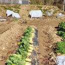 고랑정미소 이미지