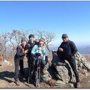 태종농장 이미지