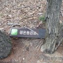 화남면 동관리~평온리 이미지