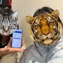 탑후레쉬마트 | 12월 중국 상하이 여행! (25.12.18~25.12.21)