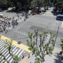 구청 앞 횡단보도 이미지