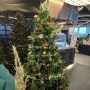 왓다 사시미&초밥 | 연말모임 잠실뷔페 마키노차야 잠실점 주말디너 내돈내산 후기