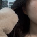 로젠비어 | 11-2 주간일기