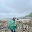 이지민박 이미지