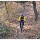 이곡 목장 이미지