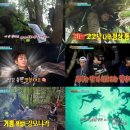 정글의법칙 - 아산시 신정로 434 | 정글의법칙