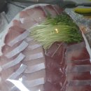 활어장군 이미지