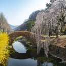 영산 만년교 이미지