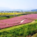 강변공원주차장 이미지