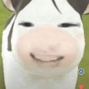 충렬밧데리 | 저에게 아직 필요한 것이 있다면..