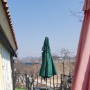 알로하오에 이미지