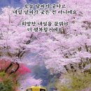 샘물식육점 이미지