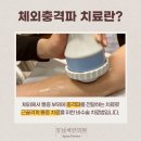 세란재활의학과의원 네이버블로그
