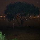 글로라인 이미지