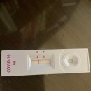 장현 백호 태권도장 이미지