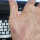 평택중앙초등학교 이미지