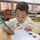 겨울잠을 자는 동물🐸 이미지