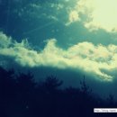 두부촌 즉석두부전문점 이미지