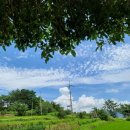 진교자동차정비 이미지