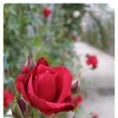 단성면 복지회관 이미지