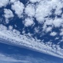 용담하우스 이미지