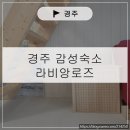 경주 가성비감성숙소 라비앙로즈 | 경주 숙소 경주펜션 감성숙소 라비앙로즈 조식 경주여행