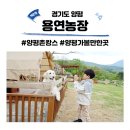 용연농장 | 양평 촌캉스 숙소 찾는다면 치유농장 용연농장 경기도 가볼만한곳