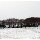 서산농장 이미지