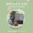 제트홈쇼핑