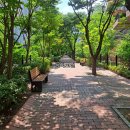 정관테라스공인중개사사무소 | 정관가화만사성더테라스2차 25.급매(투자추천) 2.5억