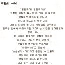 부활의 이침 이미지