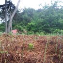 초촌농장 이미지