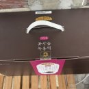 한보한의원 | 내돈내산 후기 | 한살림 건강한보 여성용 꽃사슴녹용액