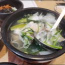 본참치 이미지