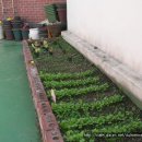 열매어린이집 이미지