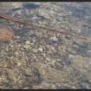 천보산 한우 이미지