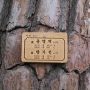 수림장 이미지