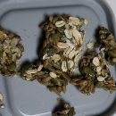 파주시노인복지회관(급식소) | (댕댕학교) 강아지 손님왔을때 안정시키는 방법, 흥분 강아지, 짖는개, 반려견 하우스 방법, 화장실...