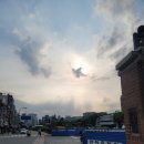 [서울/맛집] 허영만백반기행에도 나왔던 광장시장속 &#34;오라이등심&#34; 등심과꼼장어집